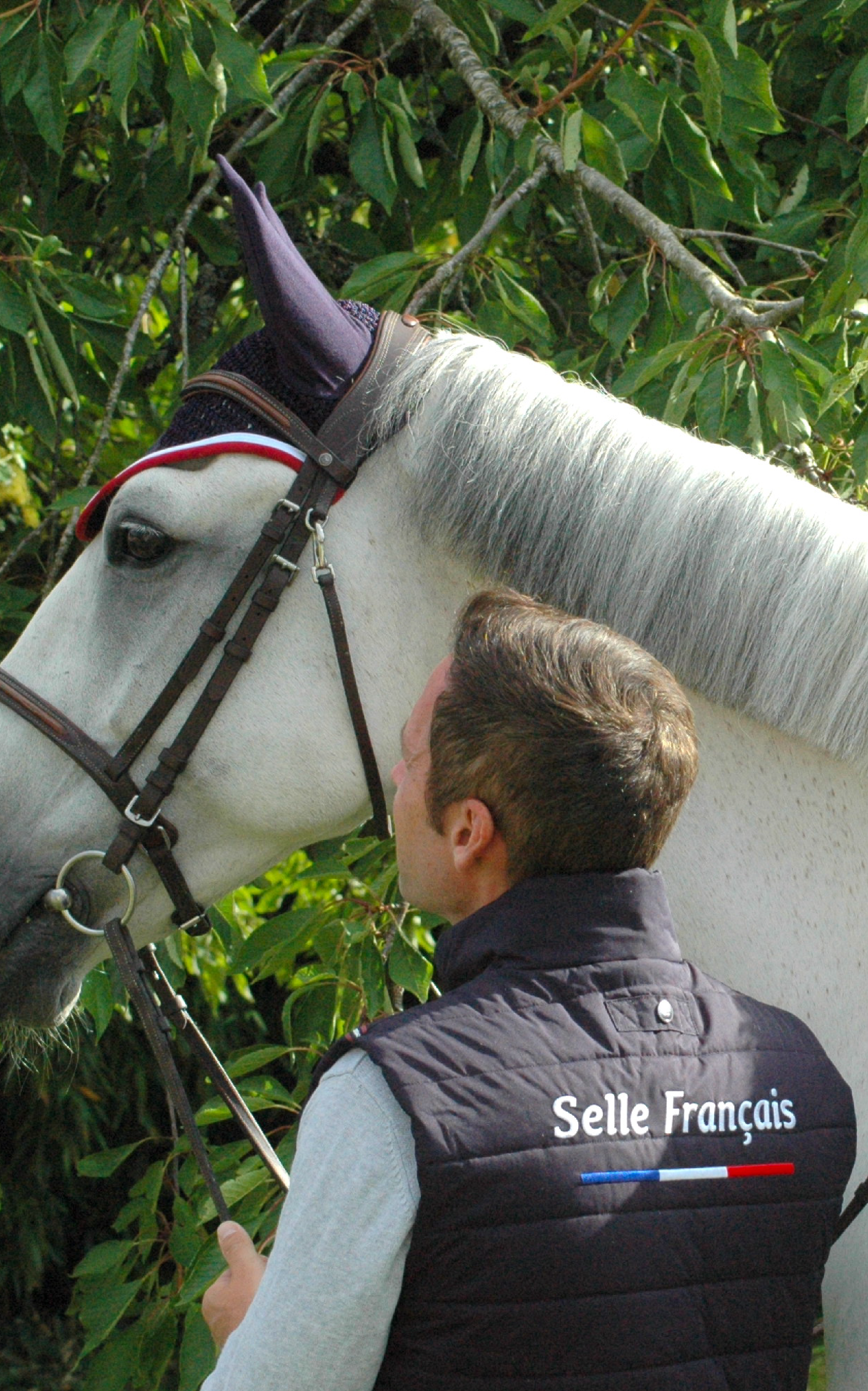 Boutique Selle Français